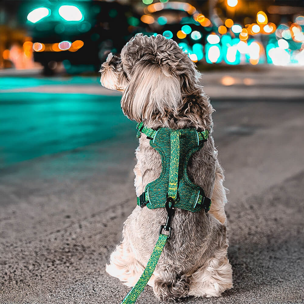 Peitoral e Guia para Cães Anti-puxão em Tecido Reciclado Ecológico