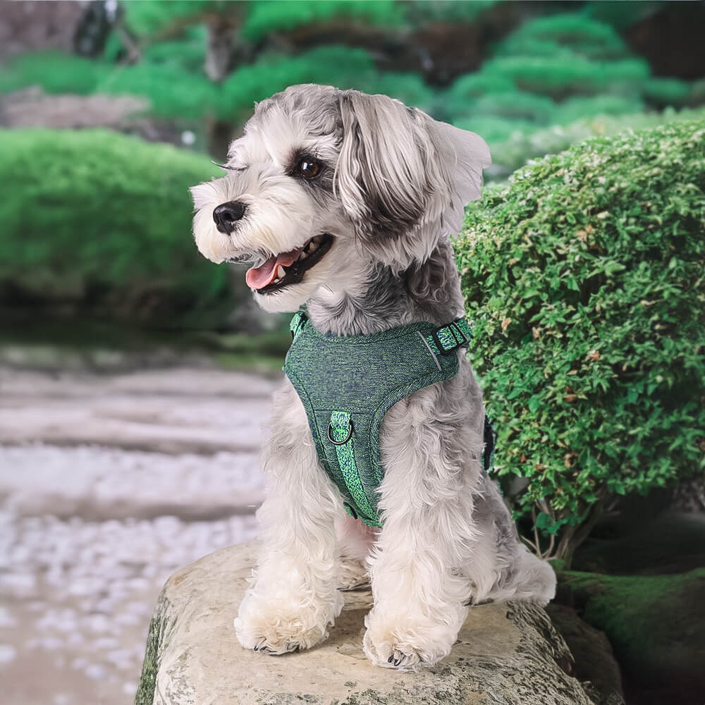 Peitoral e Guia para Cães Anti-puxão em Tecido Reciclado Ecológico