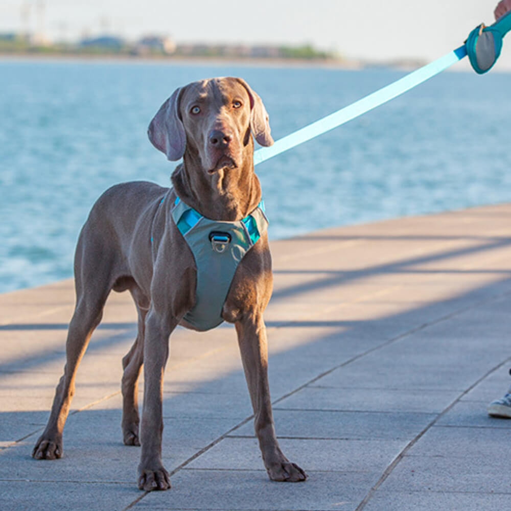 Kit de arnês e trela multifuncional para cães grandes e confortáveis sem puxar