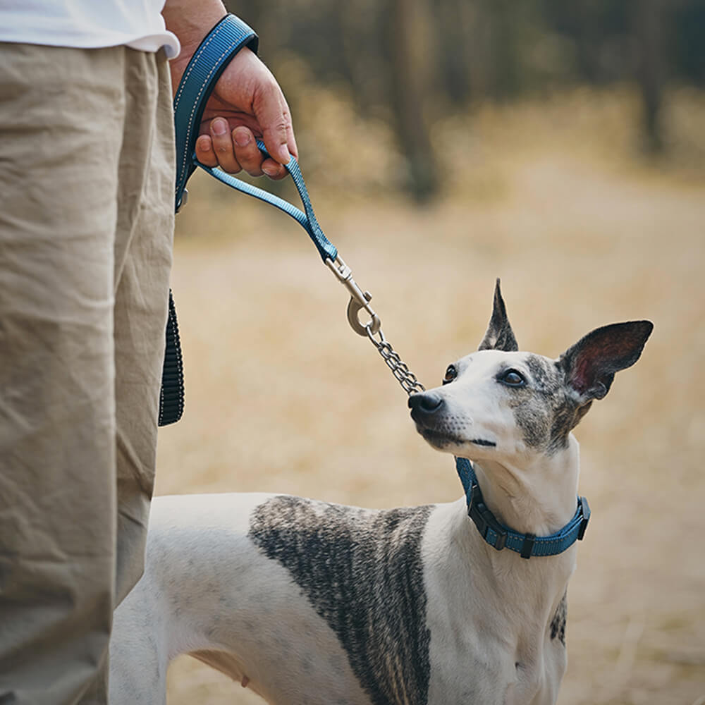 Coleira e Guia Refletiva Multifuncional Anti-puxão para Cães