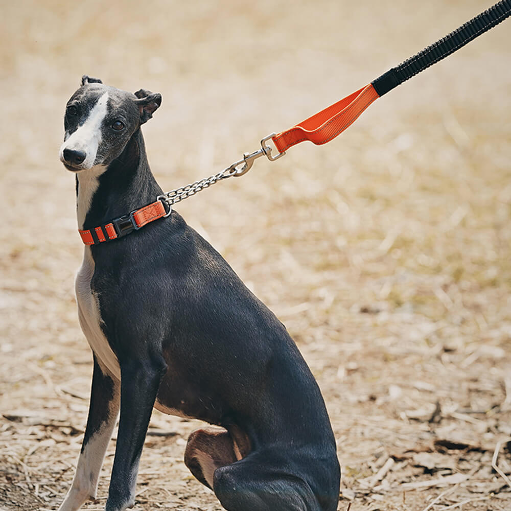 Coleira e Guia Refletiva Multifuncional Anti-puxão para Cães