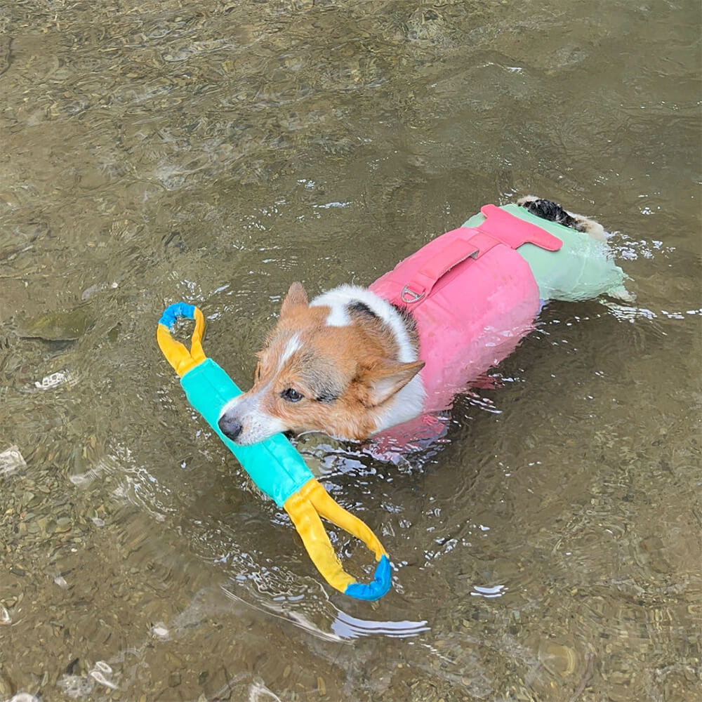 Brinquedos interativos ao ar livre resistentes para puxar brinquedos flutuantes para cães