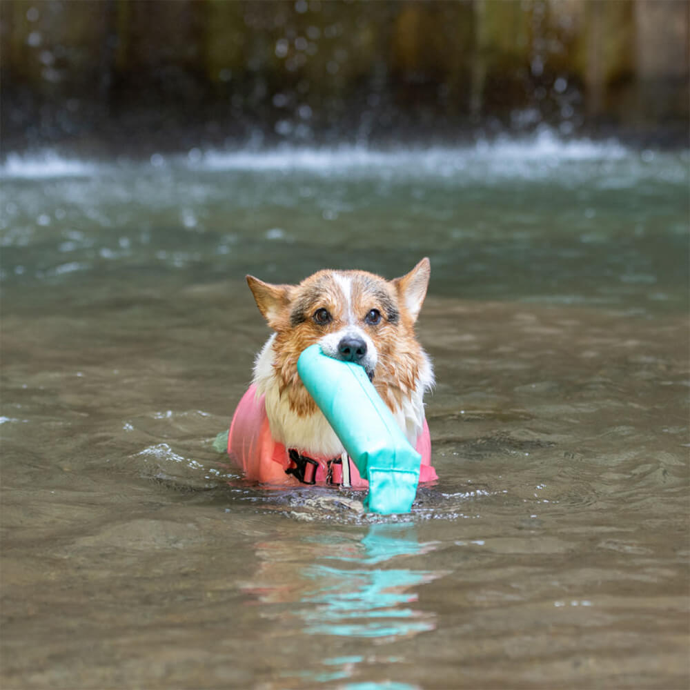 Brinquedos interativos ao ar livre resistentes para puxar brinquedos flutuantes para cães