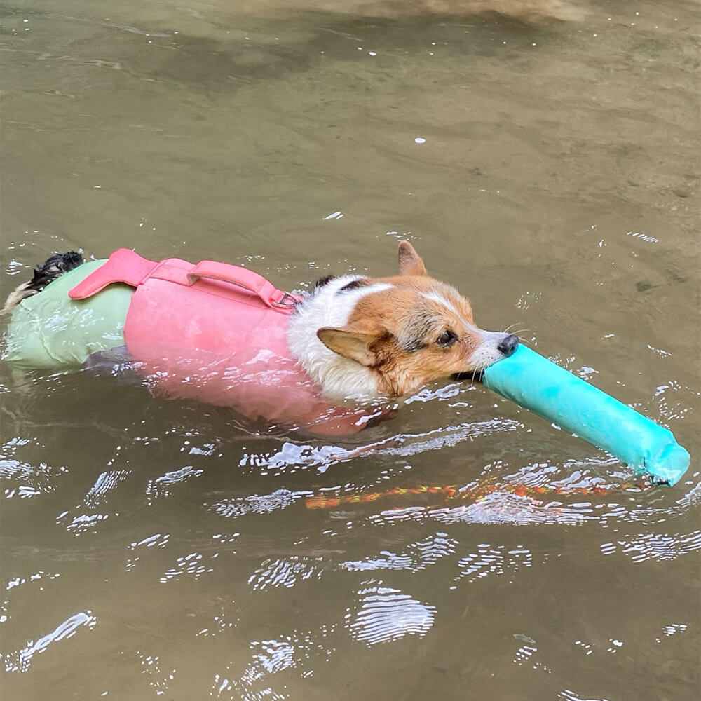 Brinquedos interativos ao ar livre resistentes para puxar brinquedos flutuantes para cães