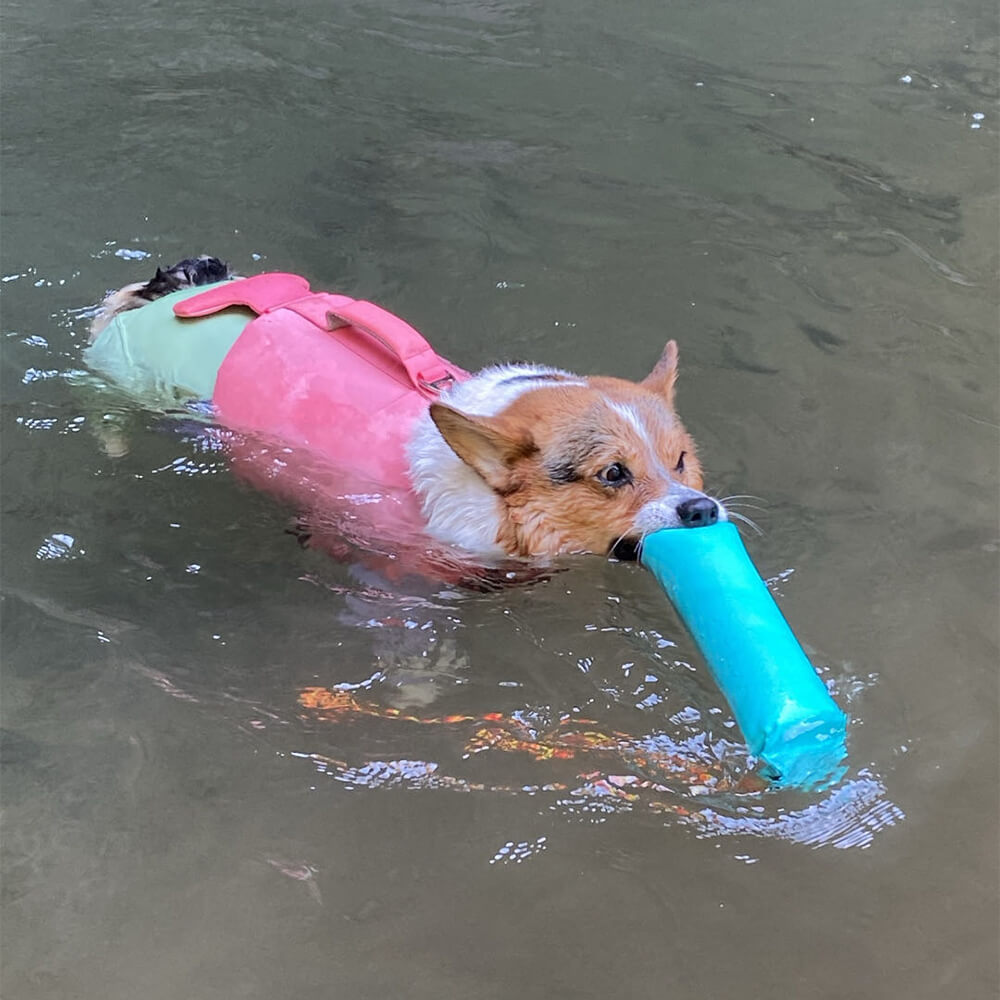 Brinquedos interativos ao ar livre resistentes para puxar brinquedos flutuantes para cães