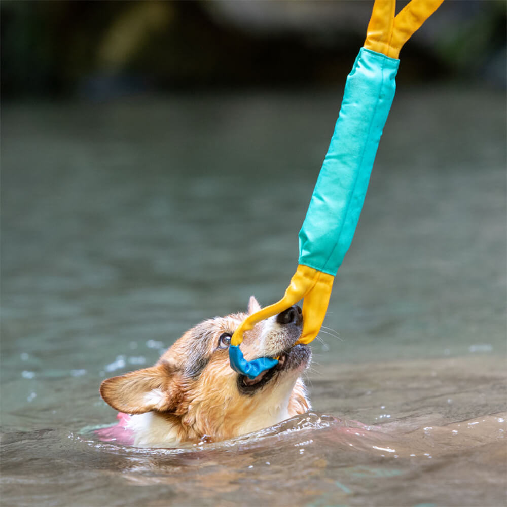 Brinquedos interativos ao ar livre resistentes para puxar brinquedos flutuantes para cães