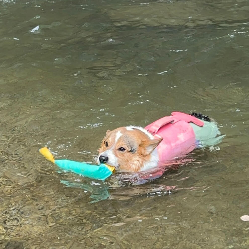 Brinquedos interativos ao ar livre resistentes para puxar brinquedos flutuantes para cães