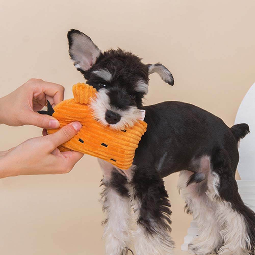 Conjunto de brinquedos de pelúcia para cães barulhentos - cacto