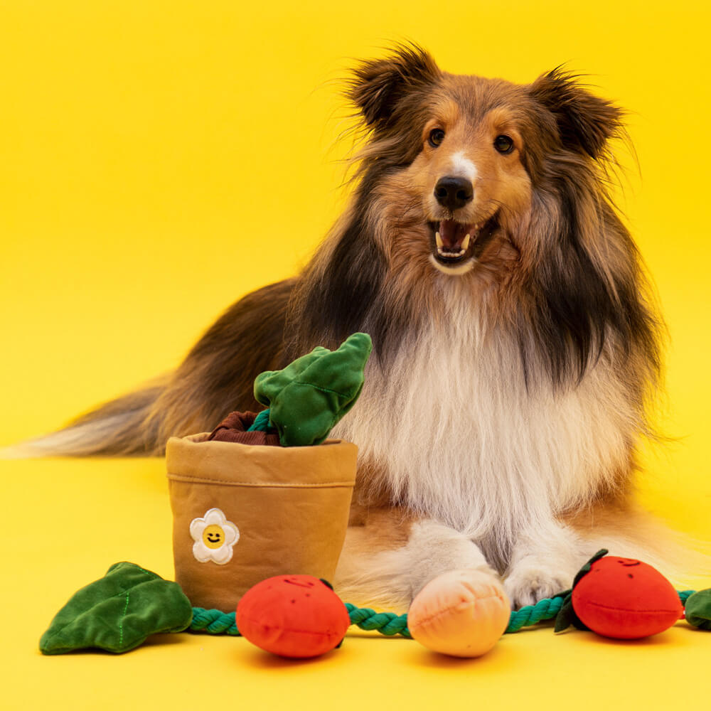 Brinquedo de Pelúcia para Cachorro com Apito - Vaso de Morango