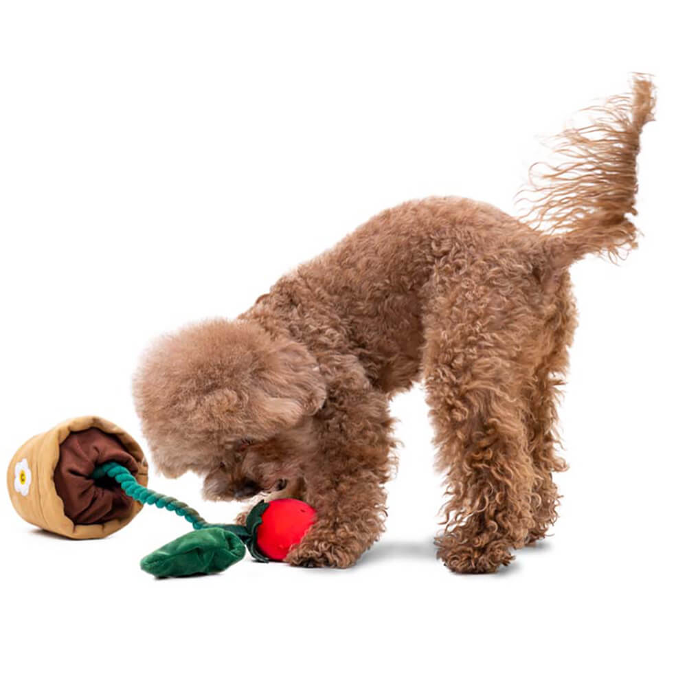 Brinquedo de Pelúcia para Cachorro com Apito - Vaso de Morango