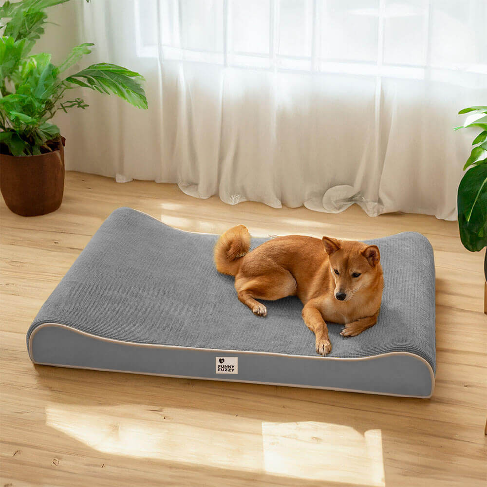 Espreguiçadeira Luxuosa para Cães Cama Ortopédica Nobre para Cães