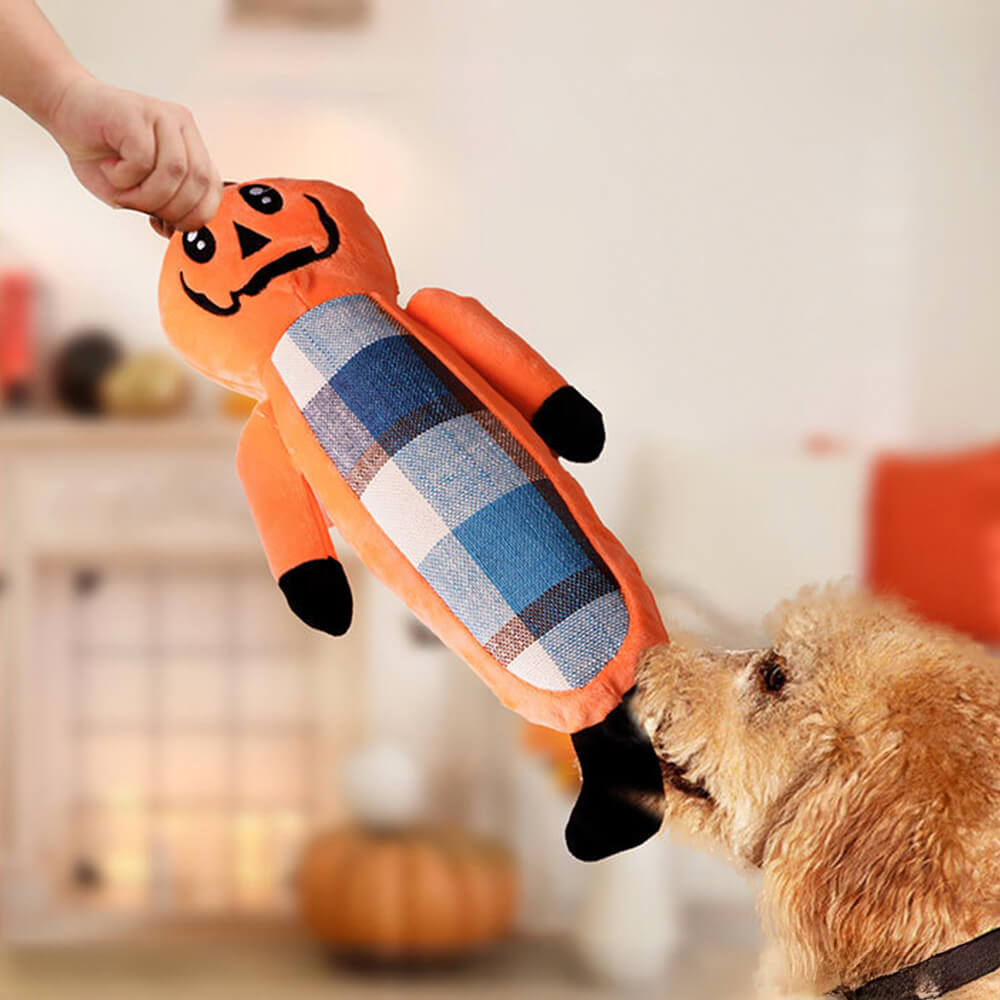 Brinquedos de corda de dentição de abóbora engraçada de Halloween para cães, conjunto de brinquedos de mastigar