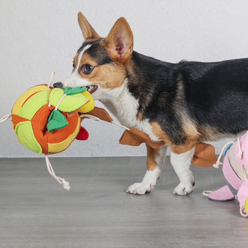 Quebra-cabeça interativo brinquedo estridente folha bola cão tratamento dispensador brinquedo