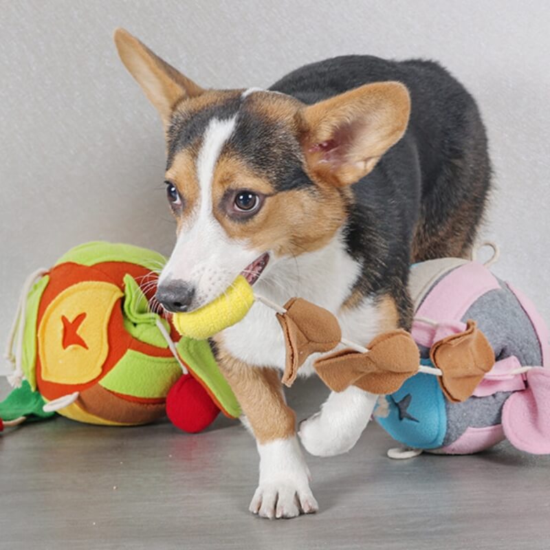 Quebra-cabeça interativo brinquedo estridente folha bola cão tratamento dispensador brinquedo