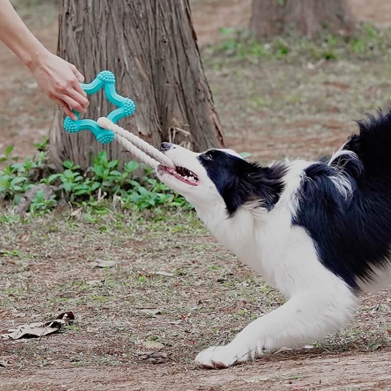 Brinquedo interativo para cães de cabo de guerra para limpeza de dentes de borracha para mastigar