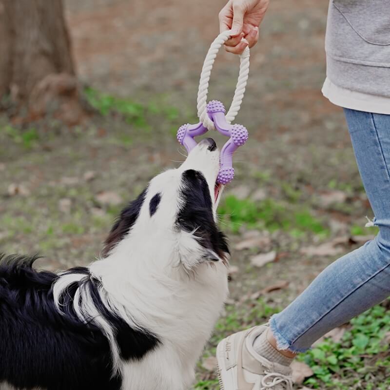 Brinquedo interativo para cães de cabo de guerra para limpeza de dentes de borracha para mastigar