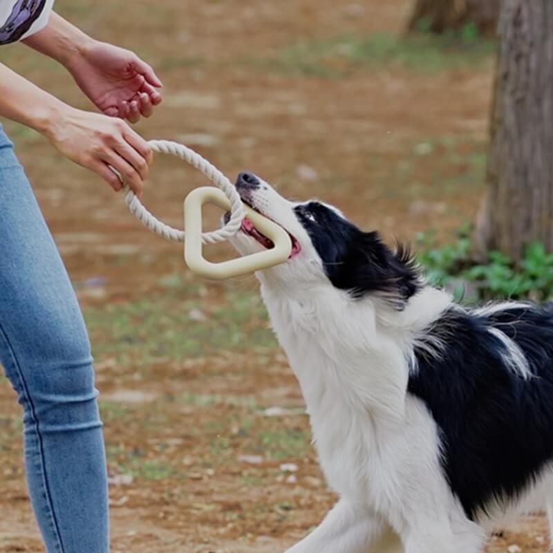 Brinquedo interativo para cães de cabo de guerra para limpeza de dentes de borracha para mastigar