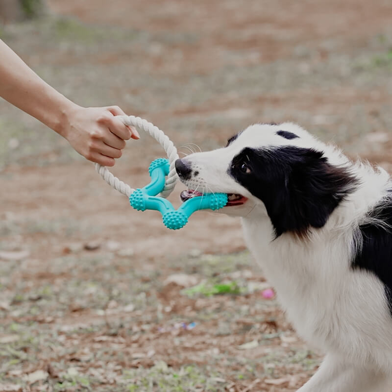 Brinquedo interativo para cães de cabo de guerra para limpeza de dentes de borracha para mastigar