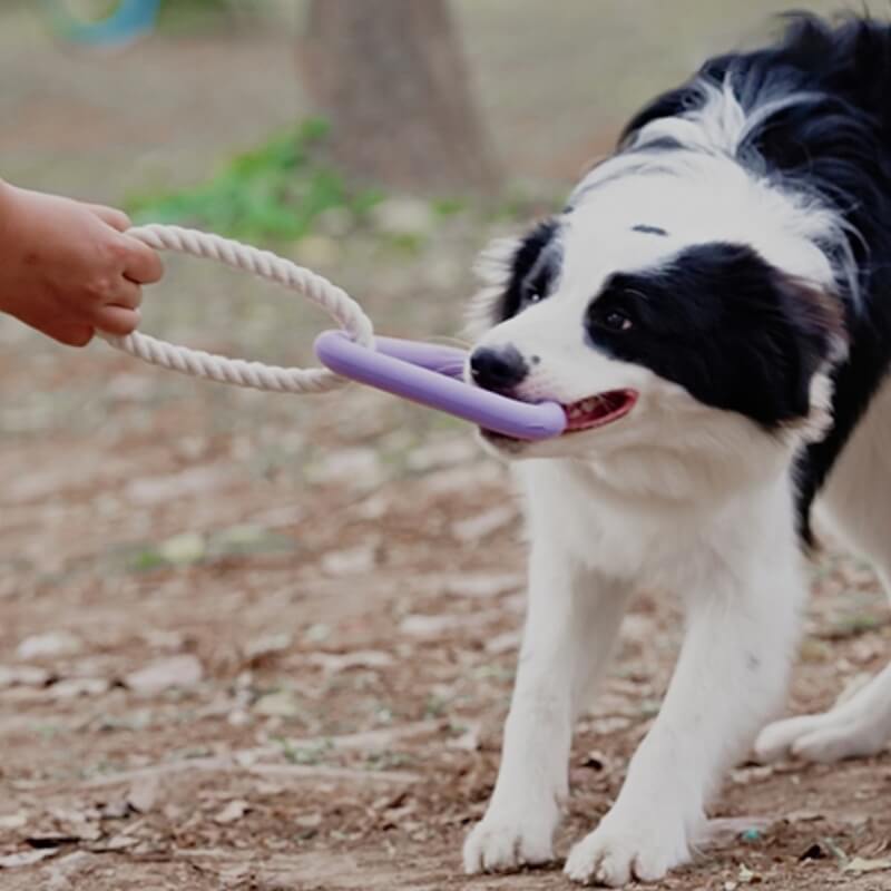 Brinquedo interativo para cães de cabo de guerra para limpeza de dentes de borracha para mastigar