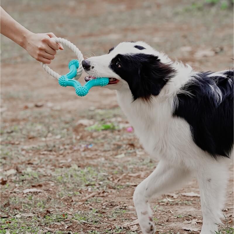 Brinquedo interativo para cães de cabo de guerra para limpeza de dentes de borracha para mastigar