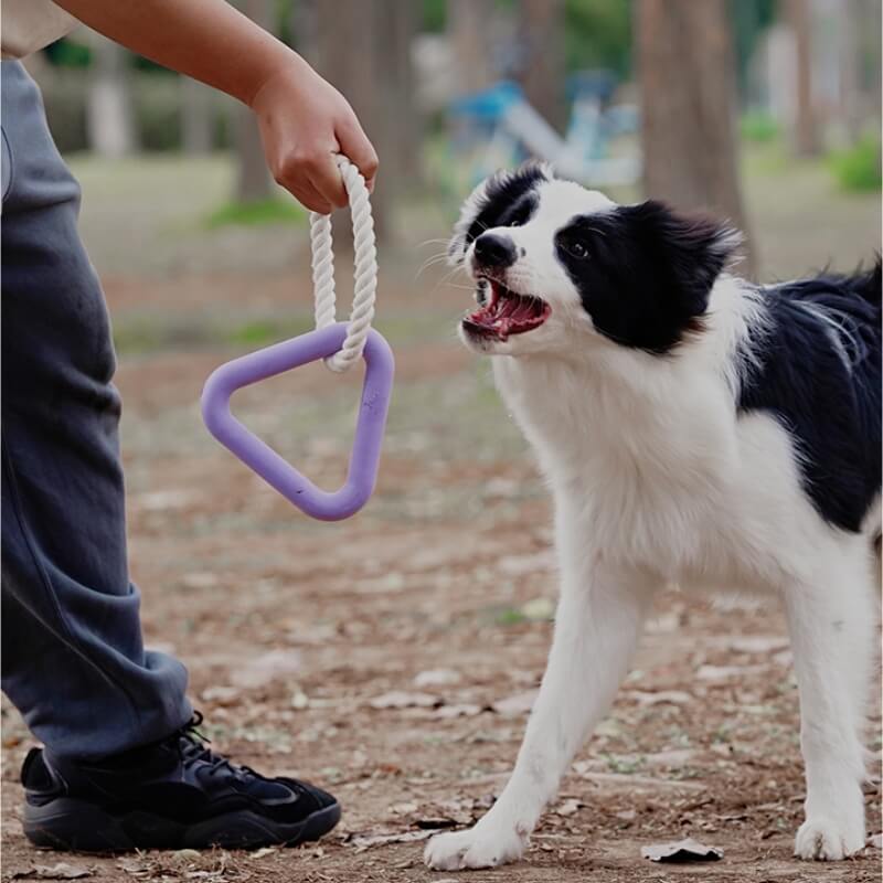 Brinquedo interativo para cães de cabo de guerra para limpeza de dentes de borracha para mastigar