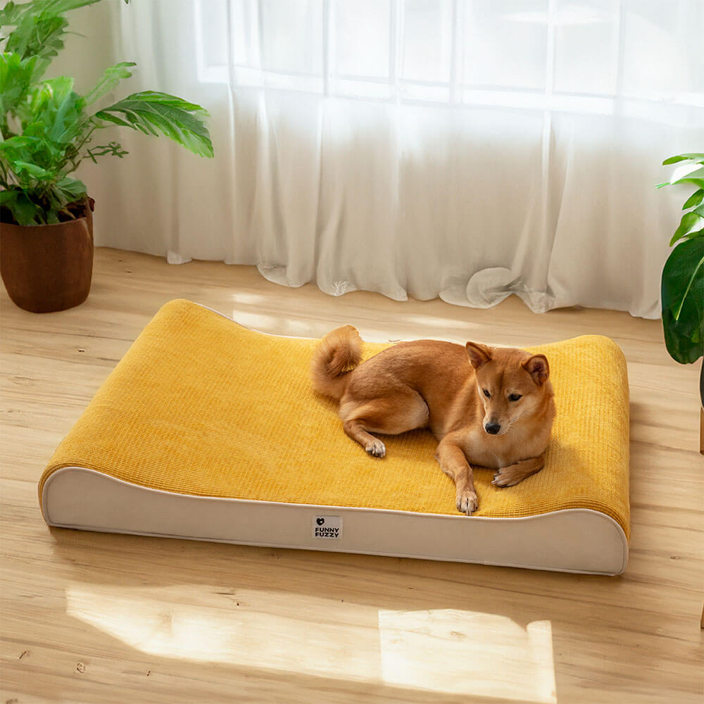 Espreguiçadeira Luxuosa para Cães Cama Ortopédica Nobre para Cães