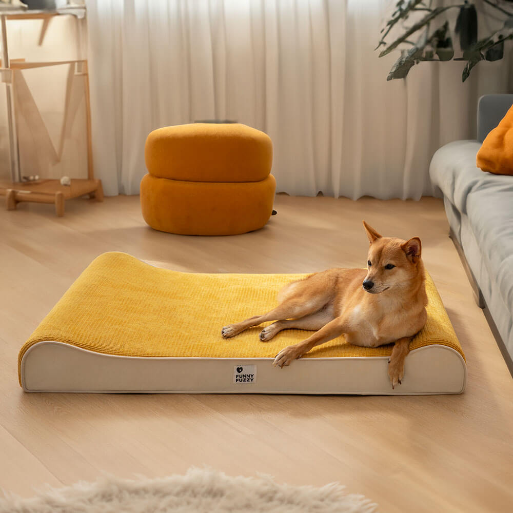 Espreguiçadeira Luxuosa para Cães Cama Ortopédica Nobre para Cães