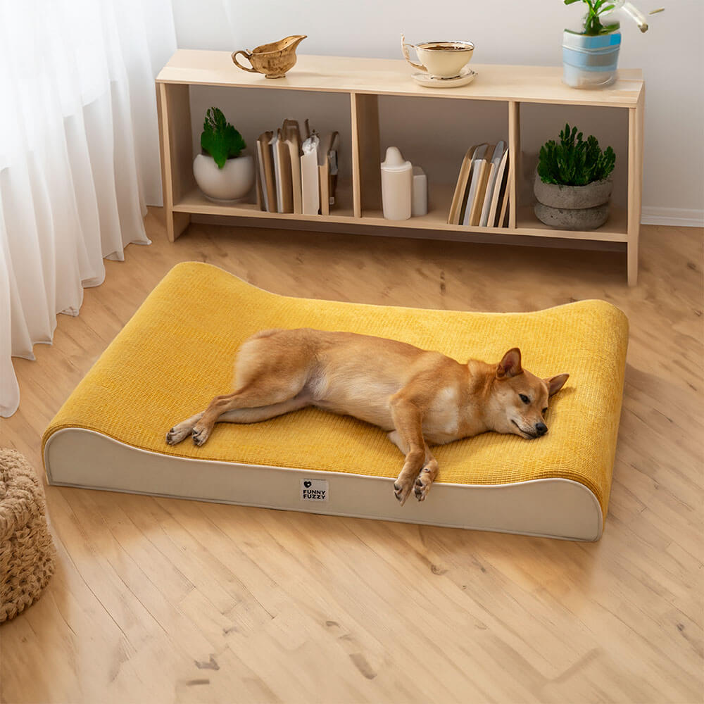 Espreguiçadeira Luxuosa para Cães Cama Ortopédica Nobre para Cães