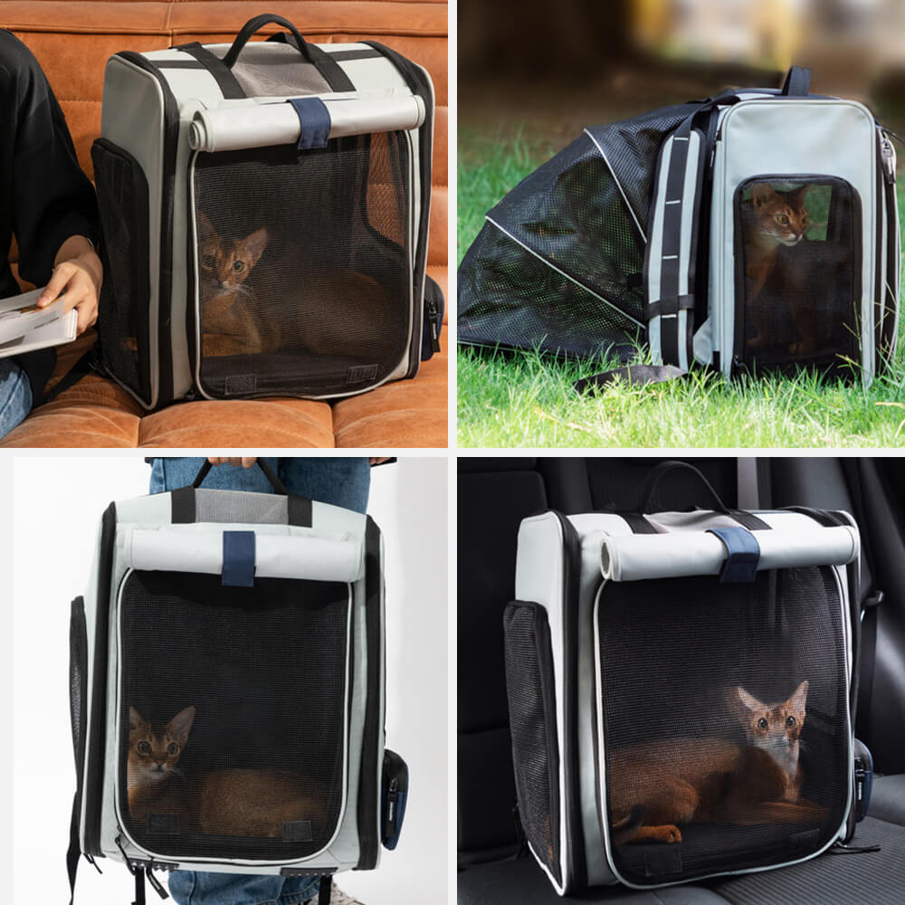 Multi-função Expansível Grande Espaço Exterior Pet Bolsa Cat Backpack