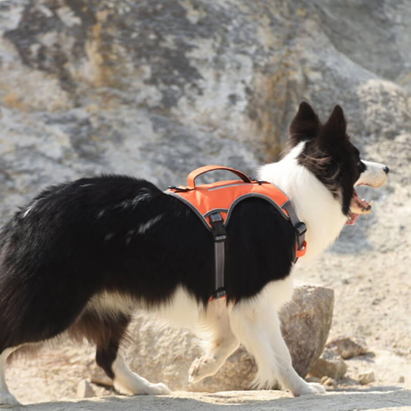 Peitoral Anti-puxão Multifuncional para Cães de Médio a Grande Porte