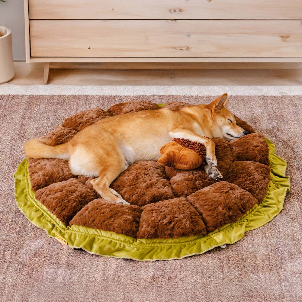 Cama de cachorro ajustável e calmante inspirada na natureza - Plush Nest