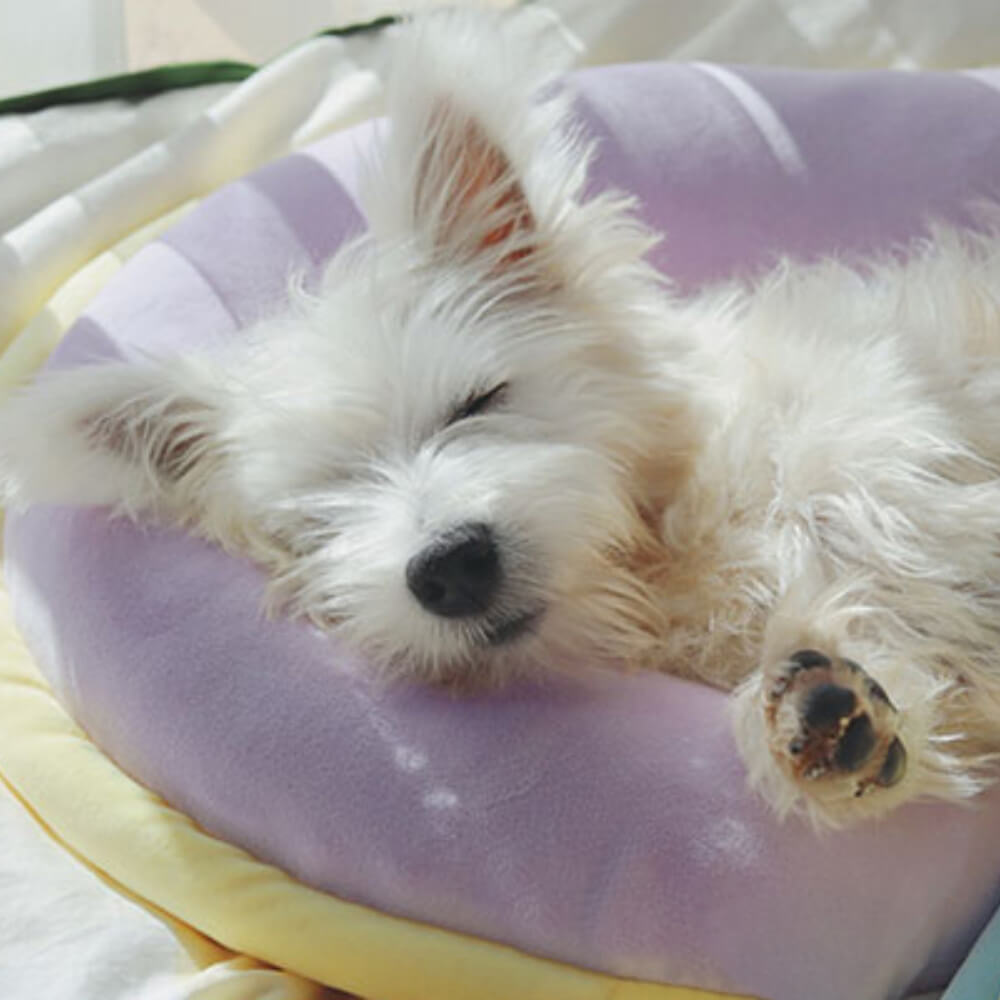 Almofada ortopédica para apoio da coluna Almofada para dormir para cães