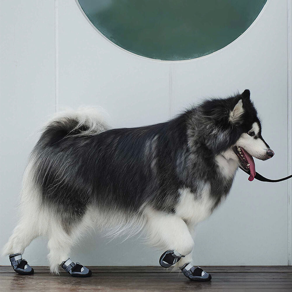 Botas ao Ar Livre para Caminhada e Corrida Botas Antiderrapantes para Cães