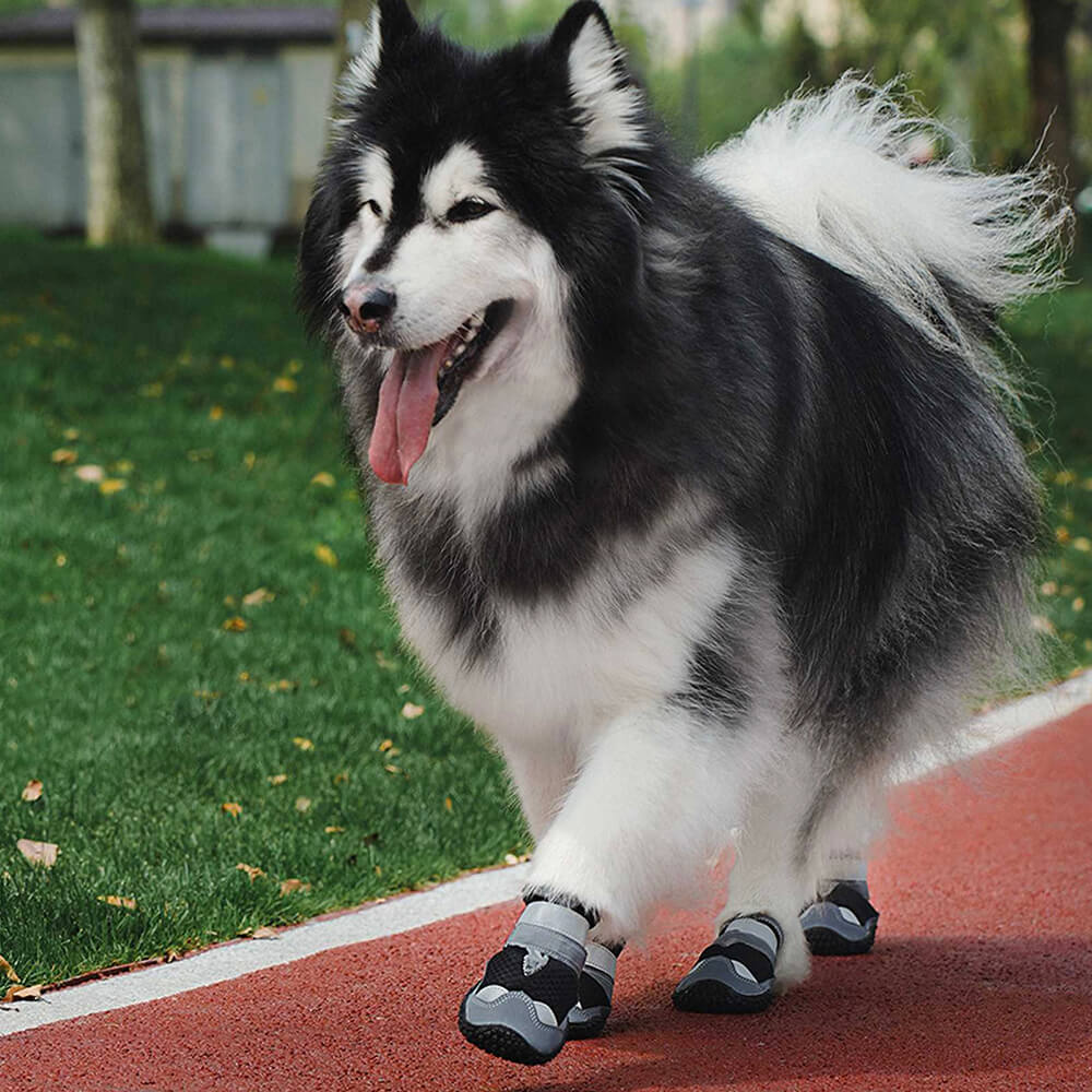 Botas ao Ar Livre para Caminhada e Corrida Botas Antiderrapantes para Cães