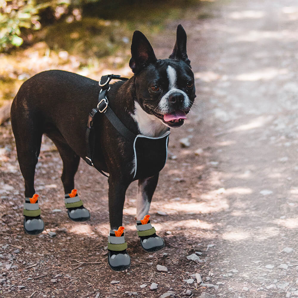 Caminhadas respiráveis ao ar livre, corrida, sapatos antiderrapantes para cães