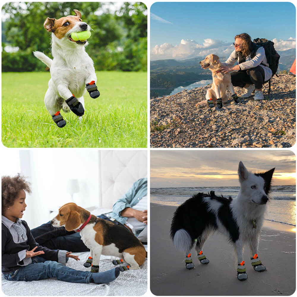 Caminhadas respiráveis ao ar livre, corrida, sapatos antiderrapantes para cães