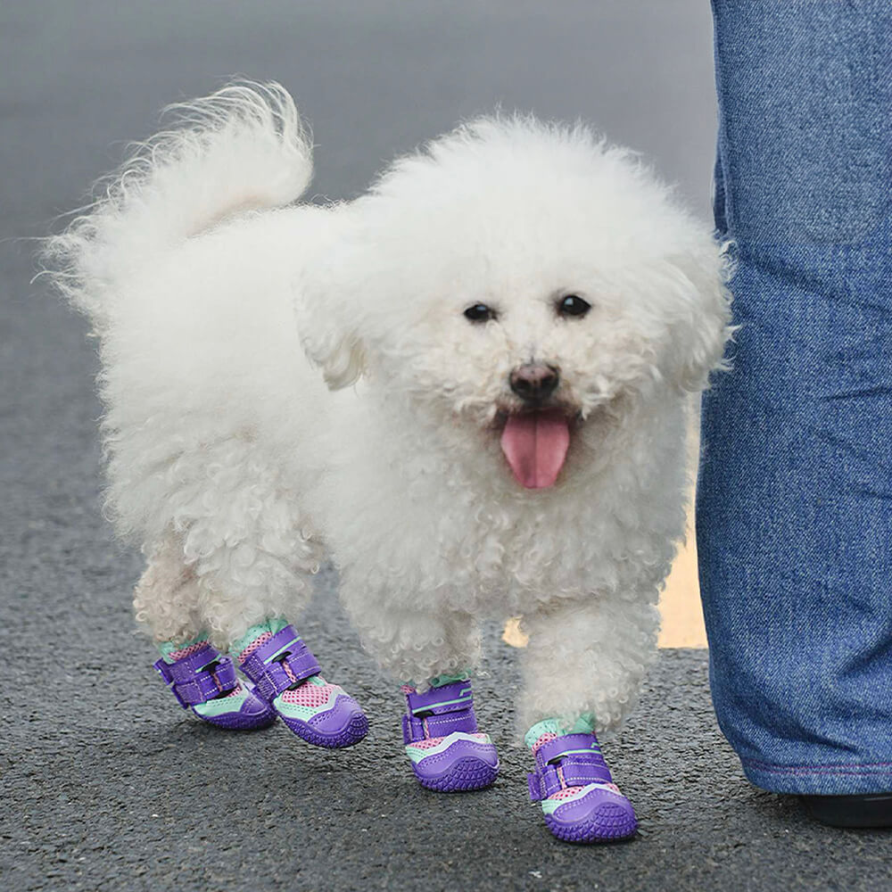 Caminhadas respiráveis ao ar livre, corrida, sapatos antiderrapantes para cães