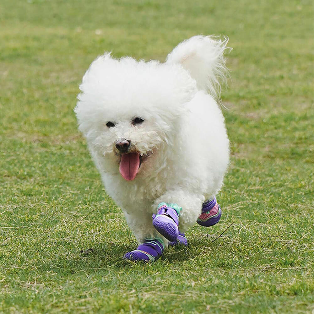 Caminhadas respiráveis ao ar livre, corrida, sapatos antiderrapantes para cães