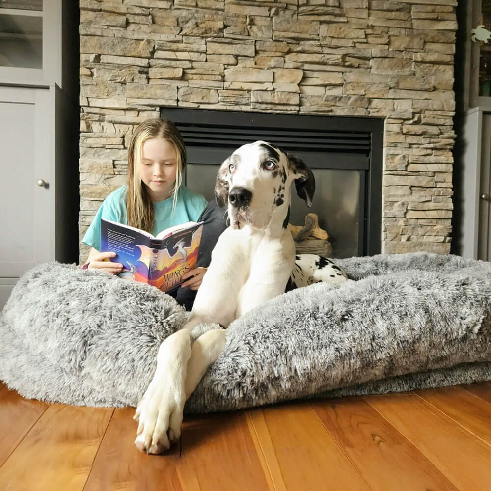 Cama de apoio ortopédica grande e fofa para humanos e cães