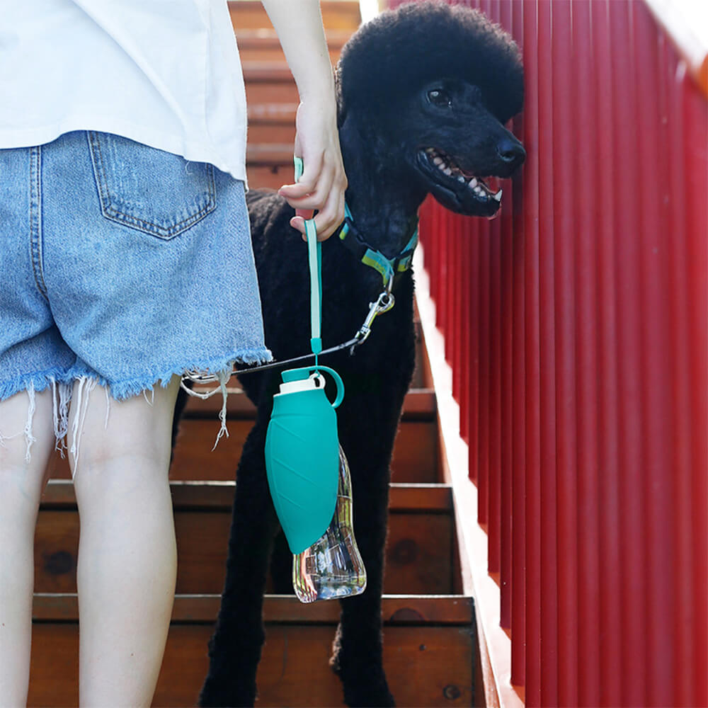 Garrafa de água para cães portátil em forma de folha para viagem ao ar livre