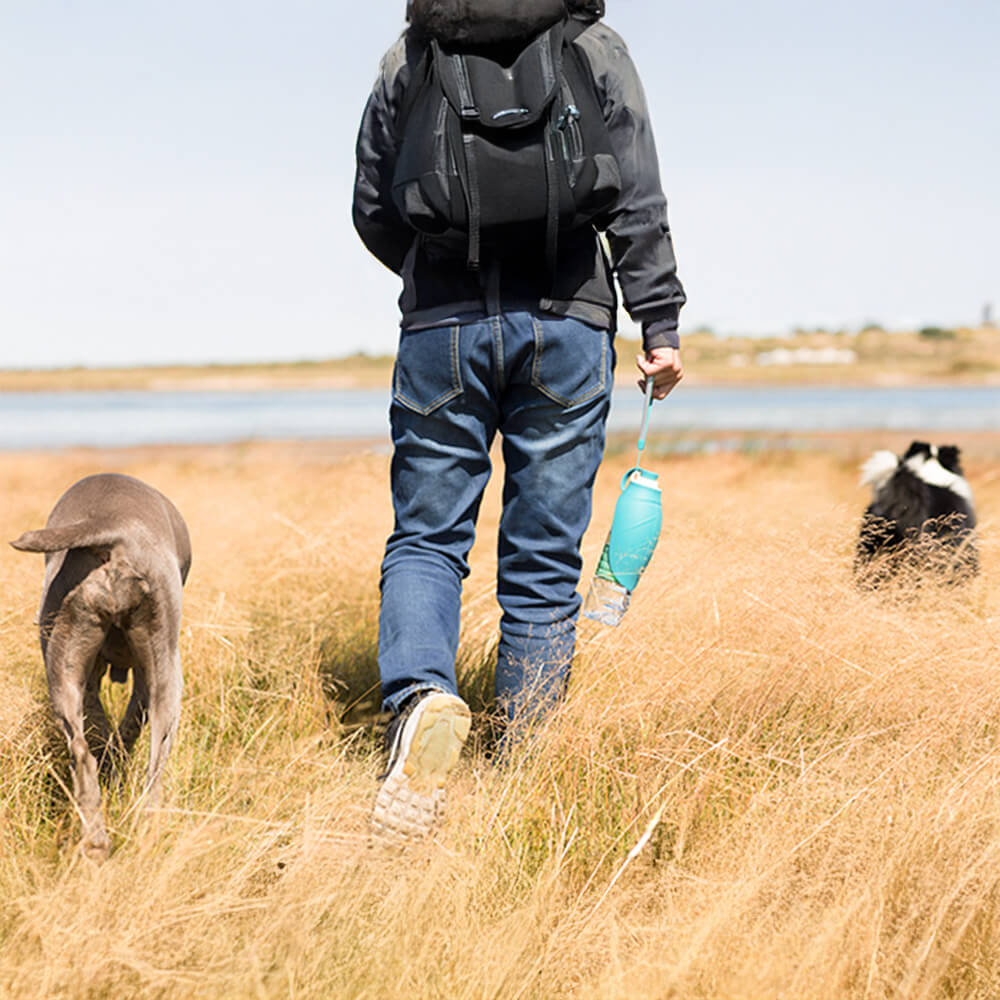 Garrafa de água para cães portátil em forma de folha para viagem ao ar livre