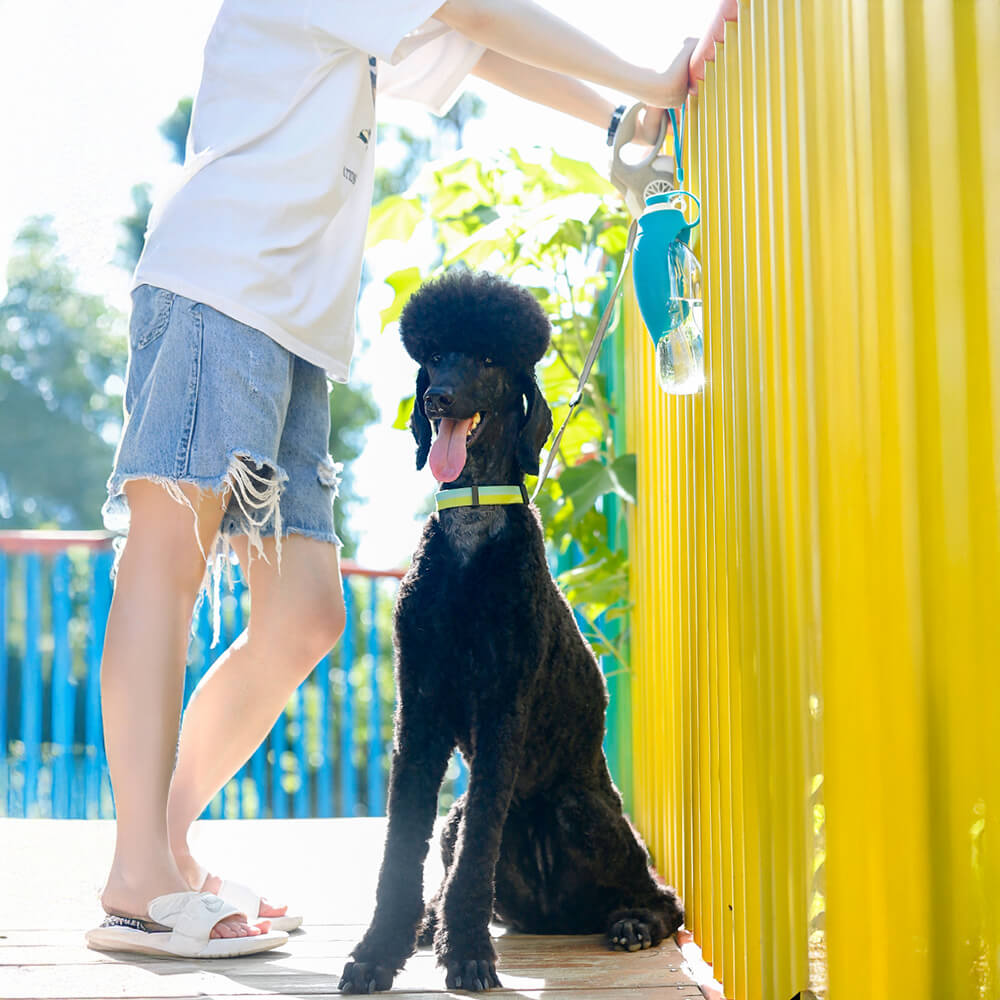 Garrafa de água para cães portátil em forma de folha para viagem ao ar livre