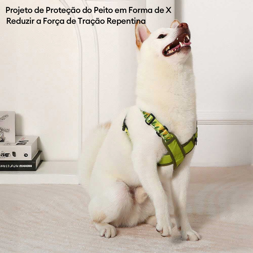 Kit de coleira e arreios ajustáveis e duráveis em formato de X para cães