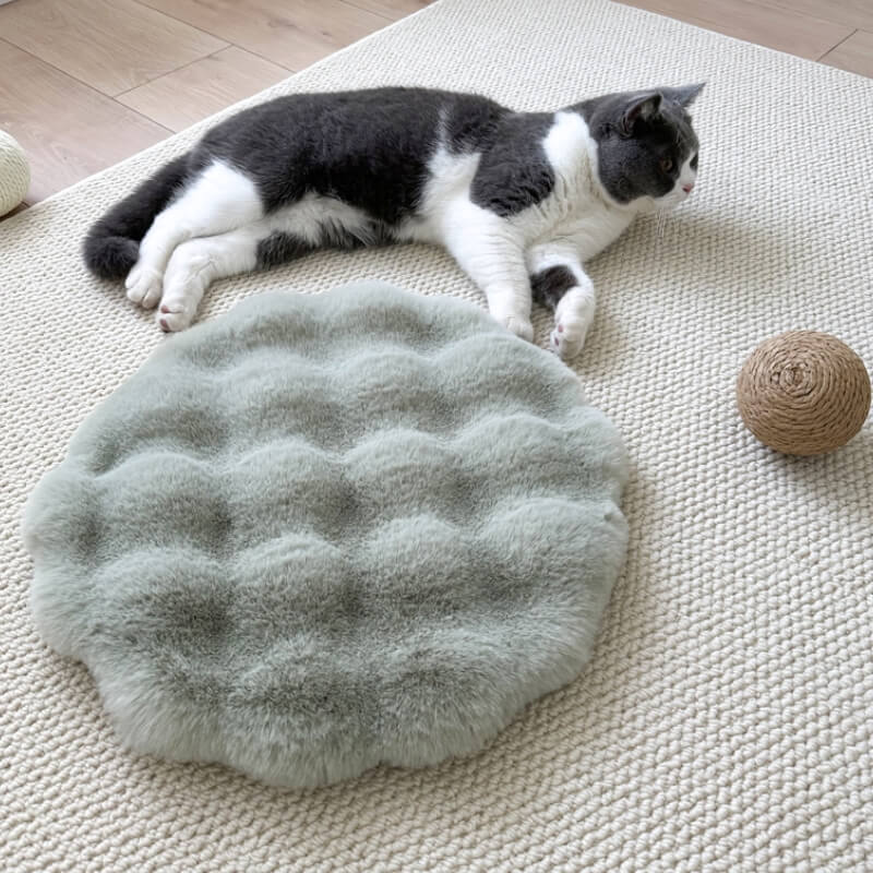 Almofada de dormir macia e quente para animais de estimação, tapete redondo para cães