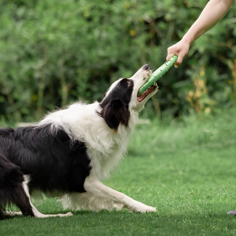 Disco voador interativo para cachorro, brinquedo de borracha para volante