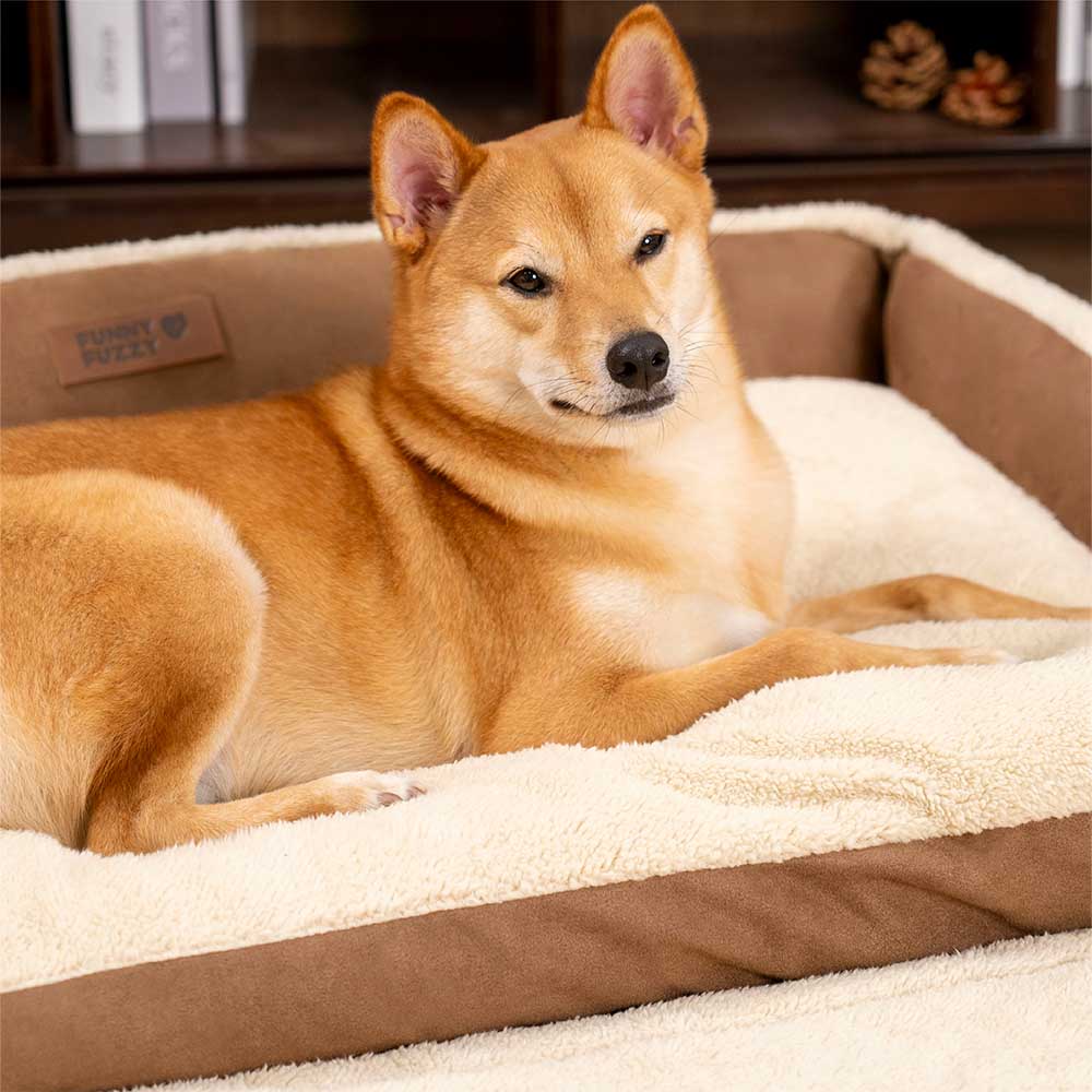 Cama ergonômica expansível e relaxante para cães - Tranquil Paws