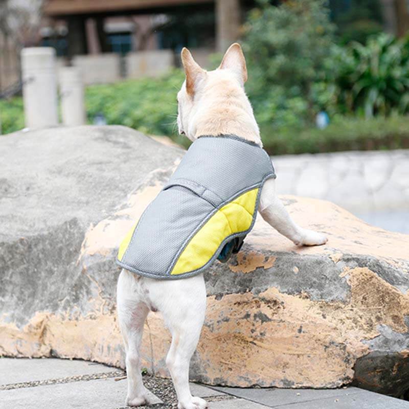 Colete de resfriamento respirável com proteção solar, jaqueta legal para cães, acessórios, colete de resfriamento