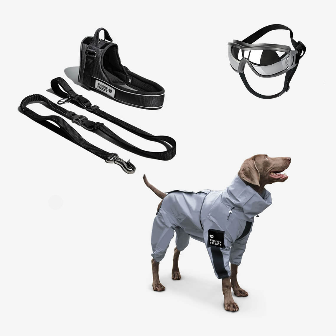 Conjunto de acessórios para caminhada Swag & Safe Cool Dog