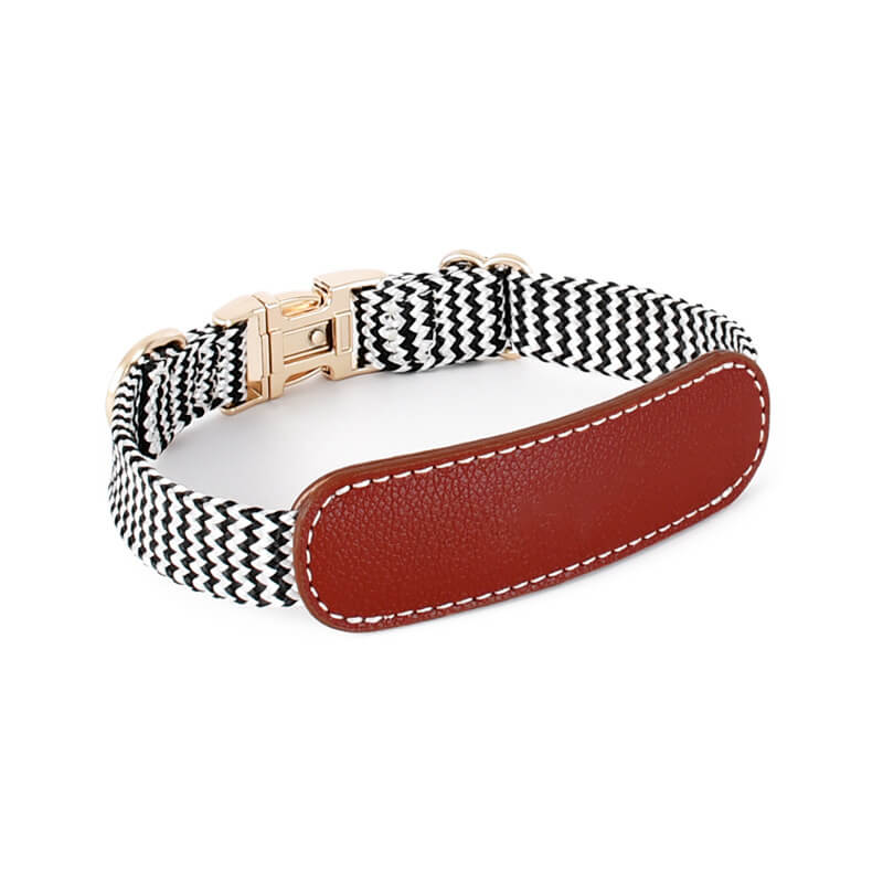 Vogue Zebra Print Pescoço Guarda Coleira Cachorro Conjunto para Caminhada