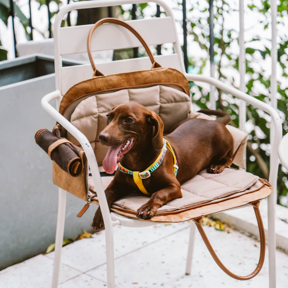 Bolsa de Viagem Multifuncional Ecológica para Pets Vogue - Cidade Roamer